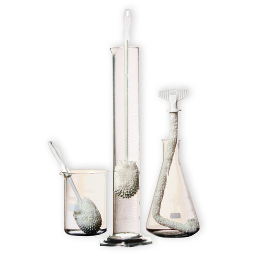 Goupillons "éponge"