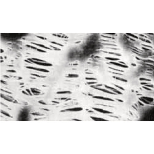 Membranes Sartorius PTFE