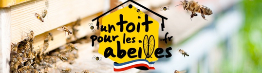 Nous parrainons des ruches pour sauver des abeilles  