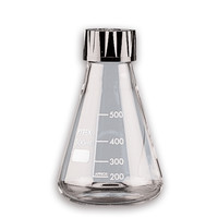 Fioles erlenmeyer SVL