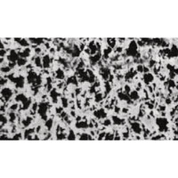 Membranes Sartorius nitrate (ester) de cellulose