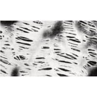 Membranes Sartorius PTFE