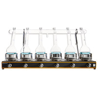 Rampes de minéralisation