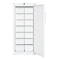 Congélateurs cuve sécurisée